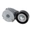GANZ GIE37479 Натяжитель с роликом / приводной nissan Qashqai 2.0 07> / Tiida 1.8 07> / X-Trail(T - 2