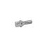 GANZ BB104 Болт колесный 12x1 25x30 C17 конус - 1