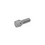 GANZ BB144 Болт колесный 14x1 50x30 С19 конус - 1