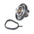 GANZ GIF08062 Термостат ford Fiesta-V,Focus-III,C-Max,Fusion,Mondeo-IV - 2