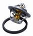 Wahler 3017.87D2 Термостат - 2