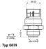 Wahler 6039.95D Термовыключатель вентилятора радиатора - 1
