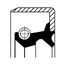 Corteco 01027787B Сальник MB 145x175/205x9/14 ступицы, с кольцом ABS (z=100) | зад | - 2